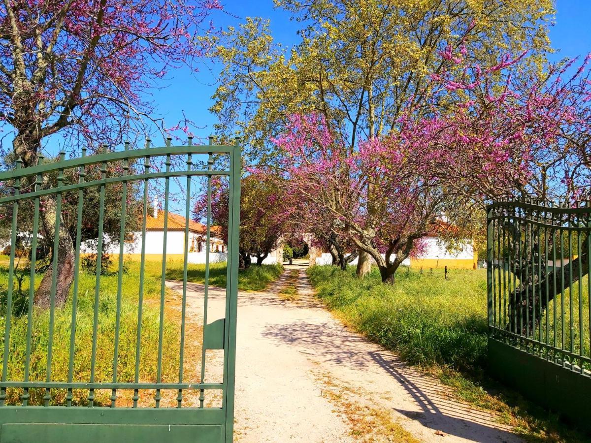 آلميريم Casas Herdade Do Convento Da Serra المظهر الخارجي الصورة