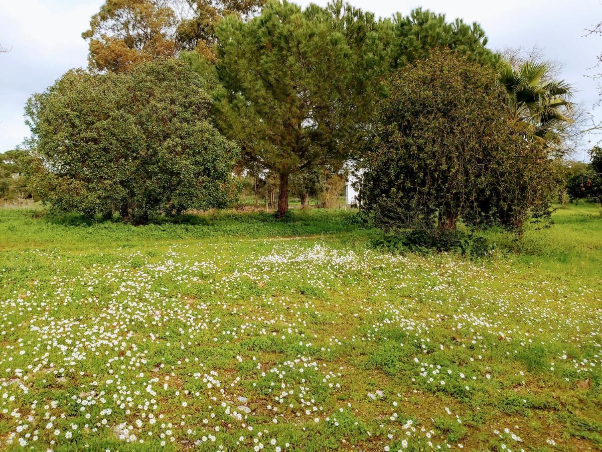 آلميريم Casas Herdade Do Convento Da Serra المظهر الخارجي الصورة