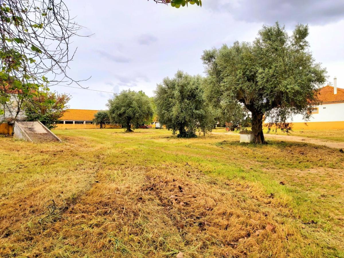 آلميريم Casas Herdade Do Convento Da Serra المظهر الخارجي الصورة