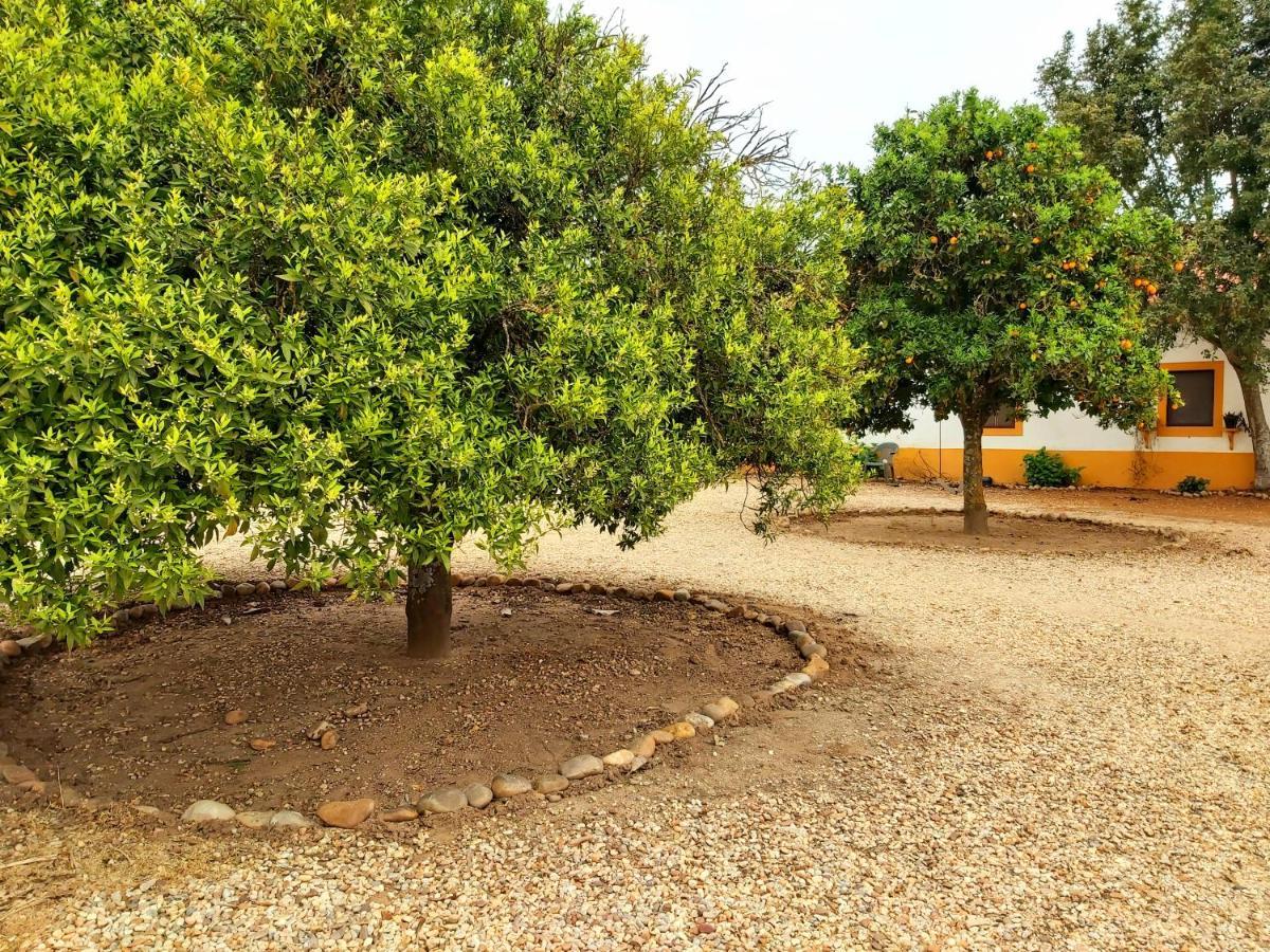 آلميريم Casas Herdade Do Convento Da Serra المظهر الخارجي الصورة