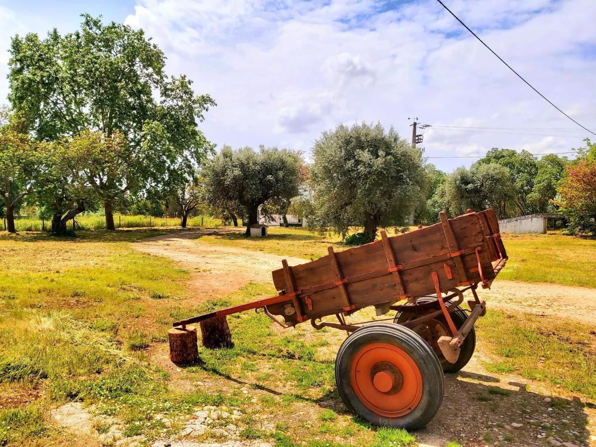 آلميريم Casas Herdade Do Convento Da Serra المظهر الخارجي الصورة