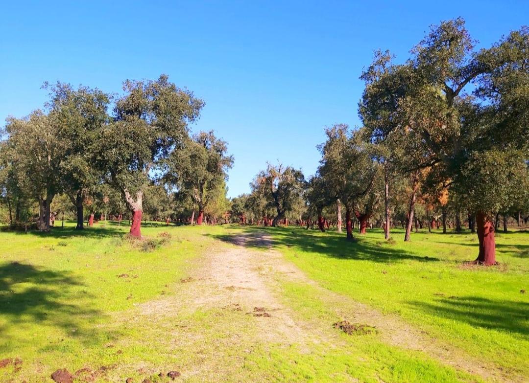 آلميريم Casas Herdade Do Convento Da Serra المظهر الخارجي الصورة