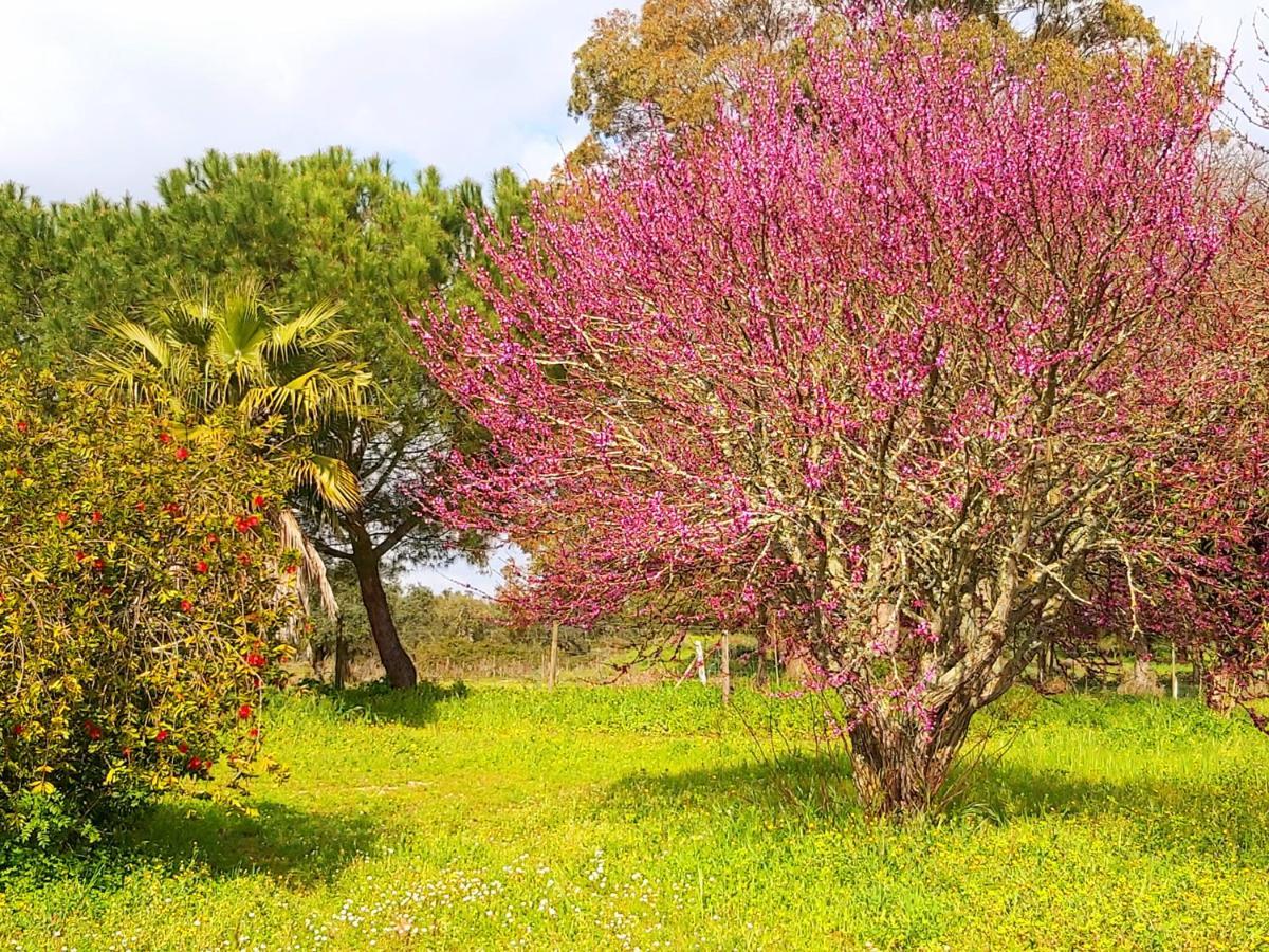 آلميريم Casas Herdade Do Convento Da Serra المظهر الخارجي الصورة