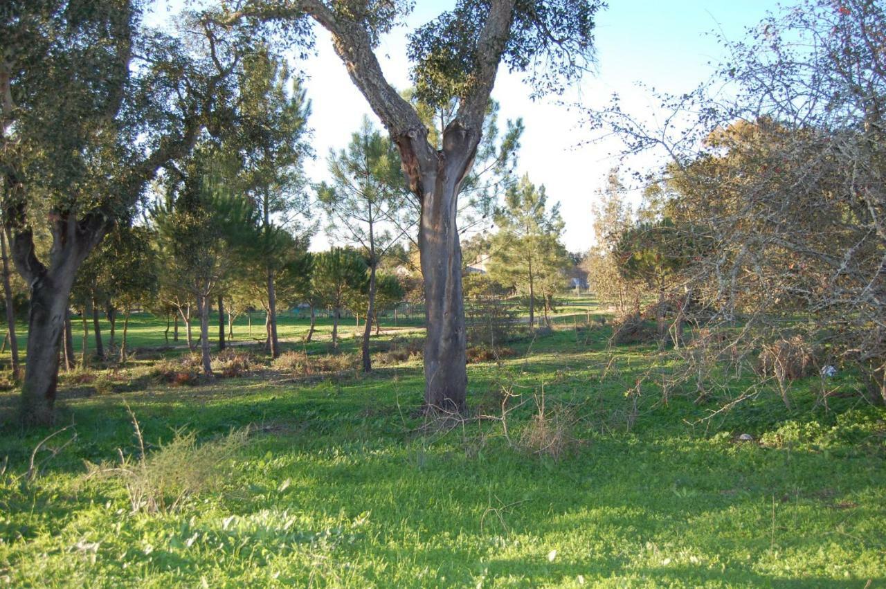 آلميريم Casas Herdade Do Convento Da Serra المظهر الخارجي الصورة